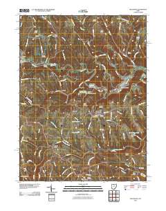 Dillonvale 2010 topographic map thumbnail