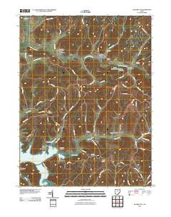Quaker City 2010 topographic map thumbnail