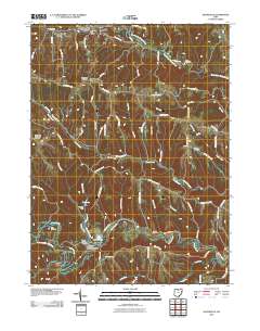 Salineville 2010 topographic map thumbnail