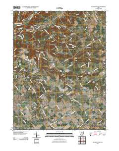 Pleasant Plain 2010 topographic map thumbnail