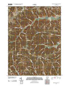 Spring Mountain 2010 topographic map thumbnail