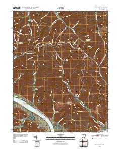 Buena Vista 2010 topographic map thumbnail