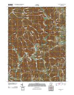 Vales Mills 2010 topographic map thumbnail