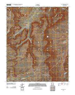 East Mesa 2010 topographic map thumbnail