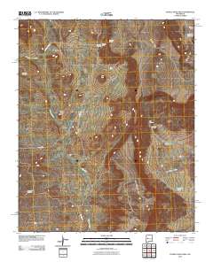 Pueblo Viejo Mesa 2010 topographic map thumbnail
