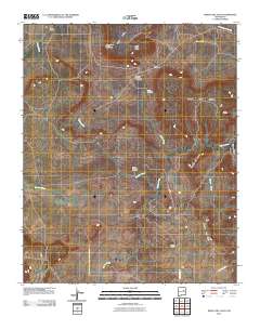 Mesita Del Gato 2010 topographic map thumbnail