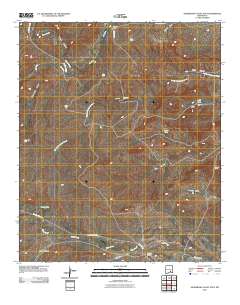 Sagebrush Valley East 2010 topographic map thumbnail