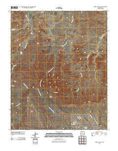 Cerro Conejo 2010 topographic map thumbnail