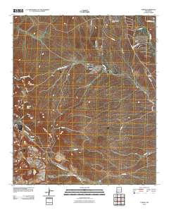 Tyrone 2010 topographic map thumbnail