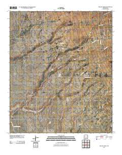 Malone Draw 2010 topographic map thumbnail