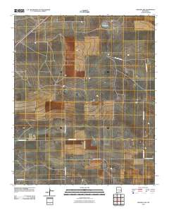 Badger Lake 2010 topographic map thumbnail