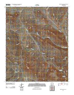 Bear Mountain 2010 topographic map thumbnail