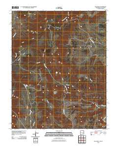 Alps Mesa 2010 topographic map thumbnail