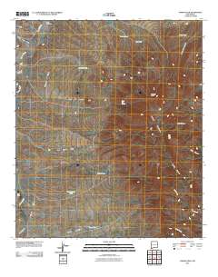 Animas Peak 2010 topographic map thumbnail