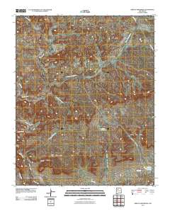 Arroyo Empedrado 2010 topographic map thumbnail