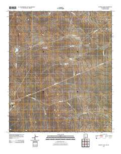 Bassett Lake 2010 topographic map thumbnail