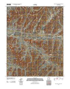 Billy Rice Canyon 2010 topographic map thumbnail