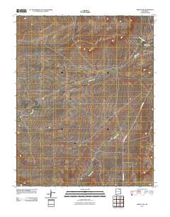Abbott NW 2010 topographic map thumbnail