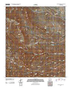 Antelope Ridge 2010 topographic map thumbnail