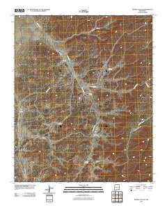 Bonine Canyon 2010 topographic map thumbnail