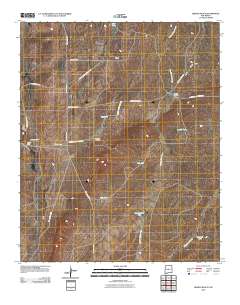 Bishop Ranch 2010 topographic map thumbnail