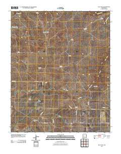 Blue Hole 2010 topographic map thumbnail