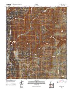 Blue Mesa 2010 topographic map thumbnail