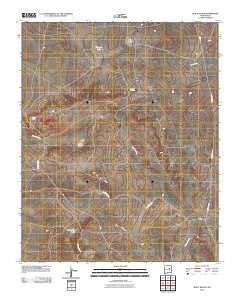 Bar Y Ranch 2010 topographic map thumbnail
