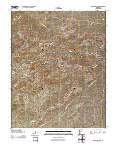 Alamo Mesa East 2010 topographic map thumbnail