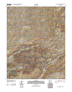 Alamo Mesa West 2010 topographic map thumbnail