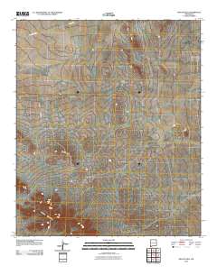 Beacon Hill 2010 topographic map thumbnail