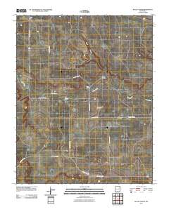 Black Canyon 2010 topographic map thumbnail