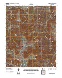 Alamosa Canyon 2010 topographic map thumbnail