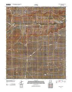 Borica SW 2010 topographic map thumbnail