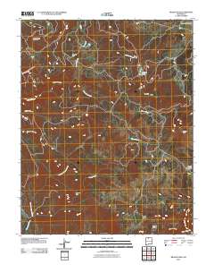 Brazos Peak 2010 topographic map thumbnail