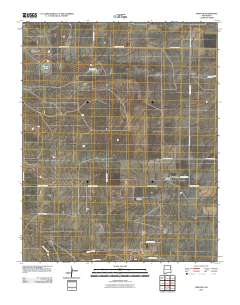Amistad 2010 topographic map thumbnail