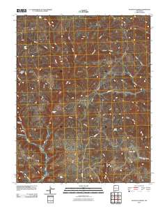 Anastacio Spring 2010 topographic map thumbnail