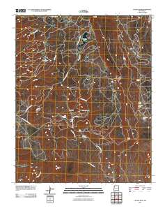 Chuska Peak 2010 topographic map thumbnail