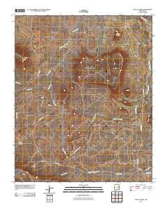 Circle S Mesa 2010 topographic map thumbnail