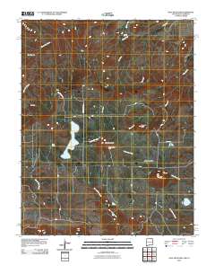 Dale Mountain 2010 topographic map thumbnail