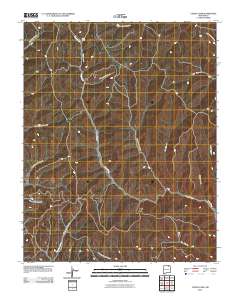 Curtis Camp 2010 topographic map thumbnail