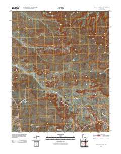 Crow Mesa West 2010 topographic map thumbnail