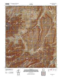 Crow Point 2010 topographic map thumbnail