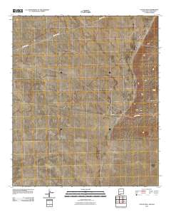 Coyote Hill 2010 topographic map thumbnail