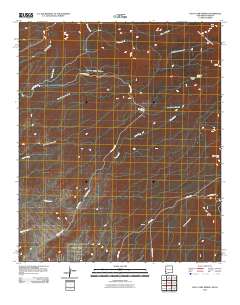 Goat Camp Spring 2010 topographic map thumbnail