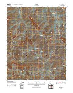 Deer Mesa 2010 topographic map thumbnail