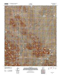 Gage SW 2010 topographic map thumbnail