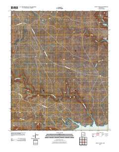 Four V Ranch 2010 topographic map thumbnail