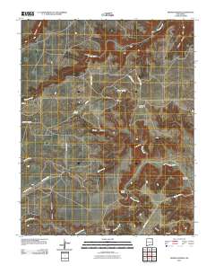 Fiddler Springs 2010 topographic map thumbnail