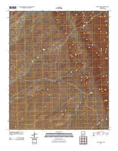 Fleck Draw 2010 topographic map thumbnail